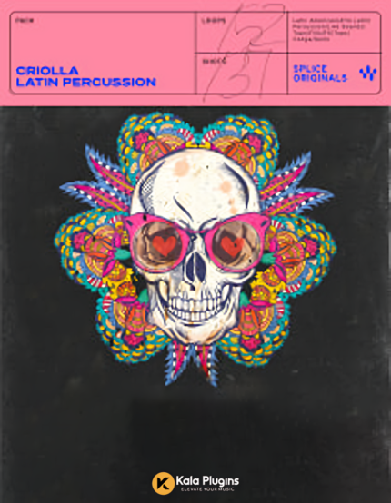 Criolla Latin Percussion Sample Packs Download