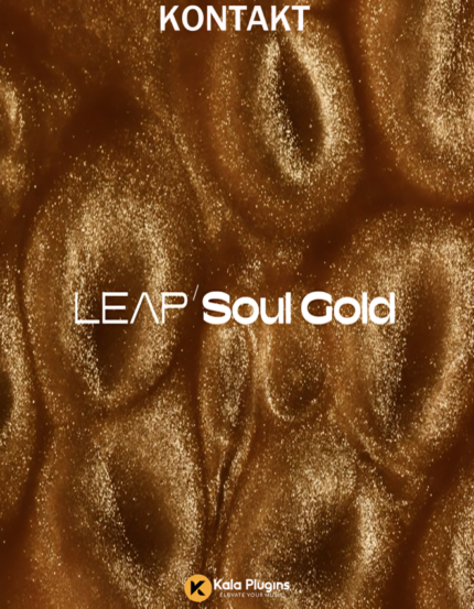 Native Instruments – Leap Soul Gold Download