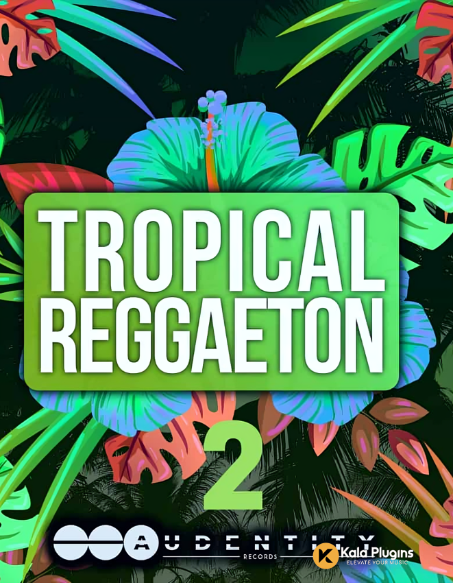 Tropical Reggaeton 2