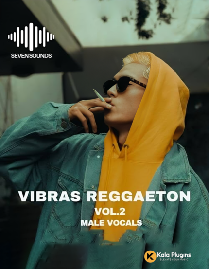 Vibras Reggaeton Vol. 2 Sample Packs Download