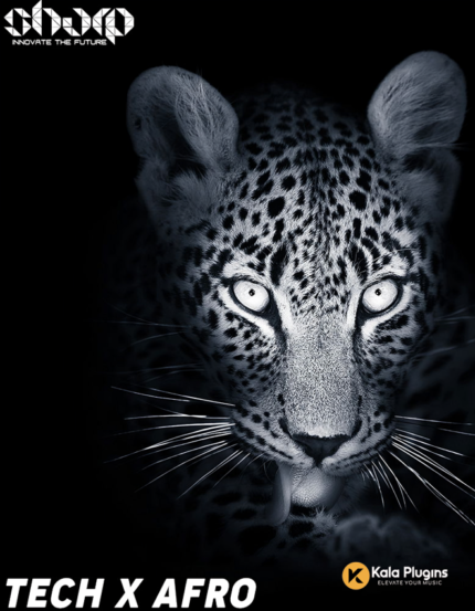 Tech X Afro Sample Packs Download